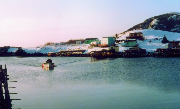 509: Red Island harbour looking southeast. (circa 2000) [courtesy of Madonna (Bishop) Mulrooney]